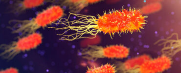 Bactérias (Foto: Reprodução/Pixabay/quimono)