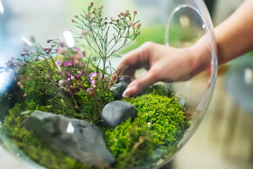 Mão ajustando pedras em terrário de vidro com musgo verde e pequenas flores roxas