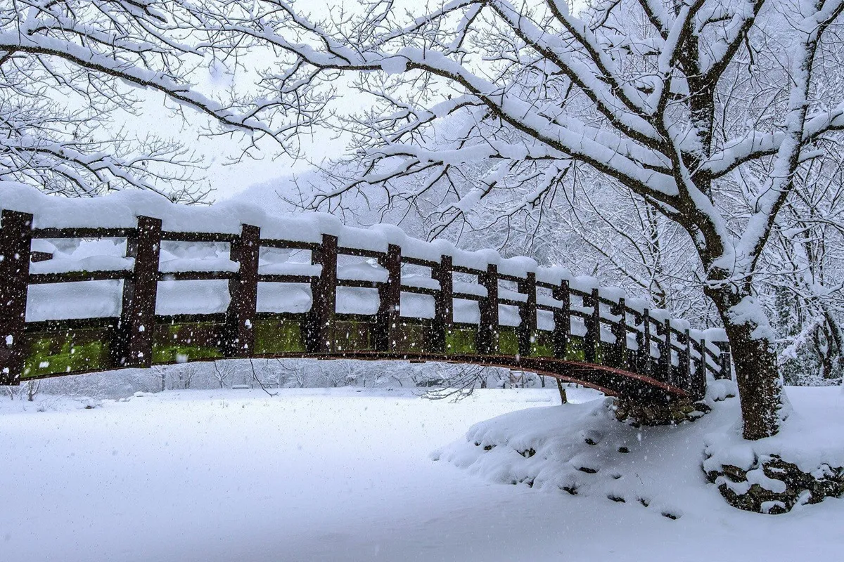 Ponte de madeira arqueada coberta de neve cercada por árvores congeladas em uma paisagem de inverno.