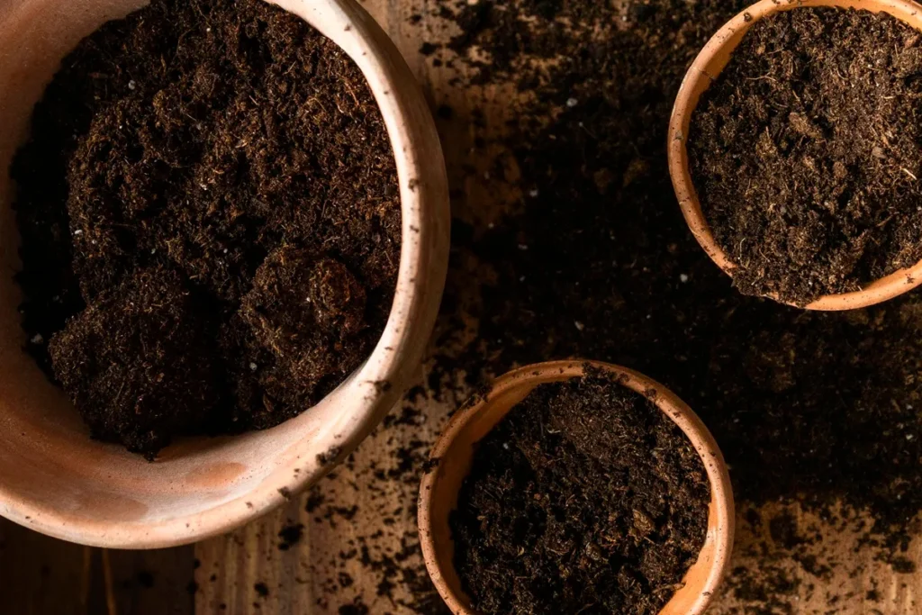 Vasos de cerâmica cheios de solo fértil escuro, representando a estrutura e a composição estudadas nas lições de pedologia e nos conceitos de solo.