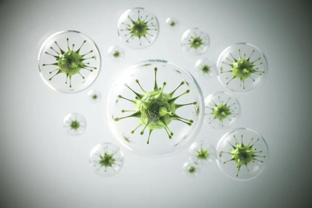 Imagem ilustrativa em 3D de bactérias verdes vistas em microscópio, em fundo claro
