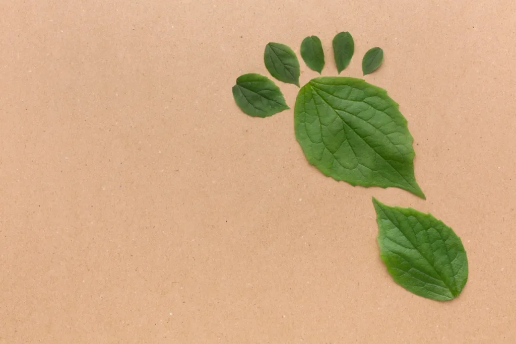 Representação criativa da pegada ecológica feita com folhas verdes sobre fundo bege, simbolizando sustentabilidade e consciência ambiental.