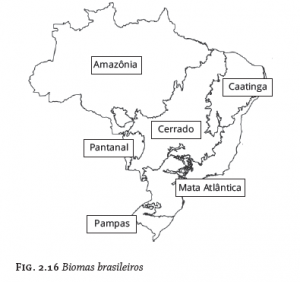Esquema ilustrativo dos ecossistemas brasileiros: Amazônia, Caatinga, Cerrrado, Pantanal, Mata Atlântica e Pampas.
