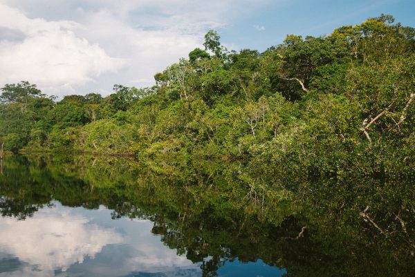 Foto de margem de rio na Amazõnia, um dos mais importantes ecossistemas brasileiros.