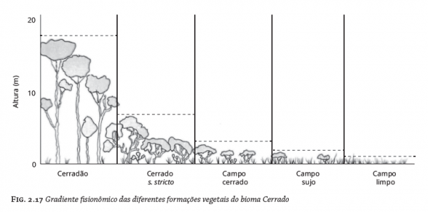 Gráfico de gradiente fisionômico das formações vegetais do Cerrado.