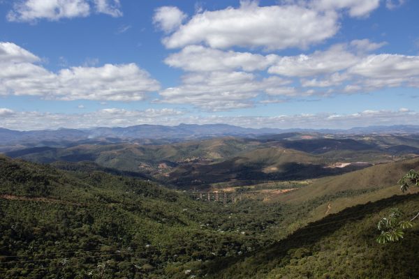 Imagem da Mata Atlântica, um dos maiores ecossistemas brasileiros.