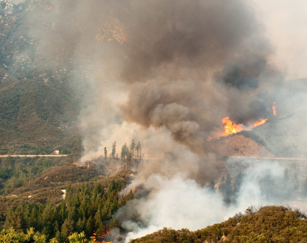 Foto de um incêndio florestal, resultado do impacto do efeito estufa na evolução da terra.