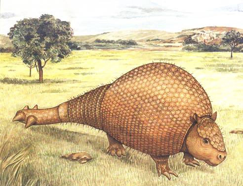 Imagem ilustrativa de um Gliptodonte, espécie de tatu pré-históricos.