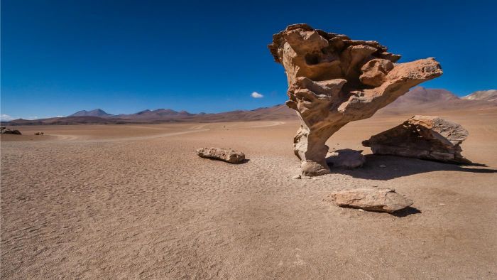 Imagem de uma rocha de base fina e topo largo em um solo de areia, causado pela erosão eólica.