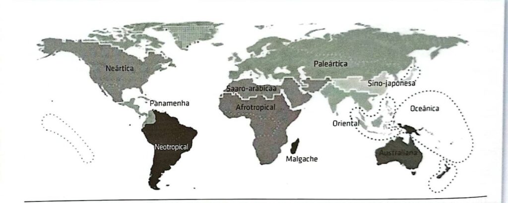 Mapa das 11 regiões biogeográficas proposto por Holt. Neártica na América do Norte; Panamenha na América Central; Neotropical na América do Sul; Paleártica na Europa e Rússia, Saaro-arábica no Oriente Médio e norte da África, Afrotopical no resto da África, Malgache em Madagascar, Sino-japonesa no leste asiático, Oriental no sul asiático, Australiana na Oceania e Oceânica nas ilhas ao redor da Austrália.