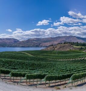 Imagem de uma plantação tirada por um sensor hiperespectral