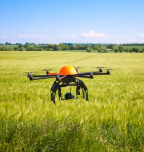 Imagem de um drone sobre um campo de vegetação.