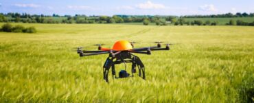 Imagem de um drone sobre um campo de vegetação.