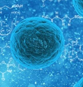 Bactérias (Fonte: Pixabay)