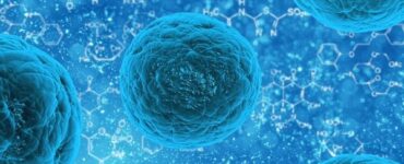 Bactérias (Fonte: Pixabay)