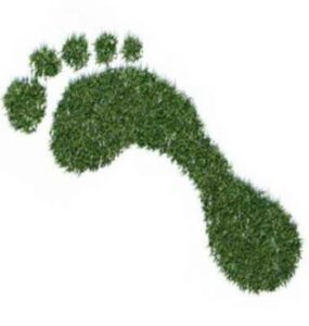 Ilustração de uma pegada verde.