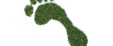 Ilustração de uma pegada verde.