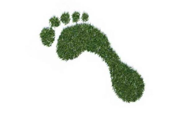 Ilustração de uma pegada verde, simbolizando a pegada ambiental.