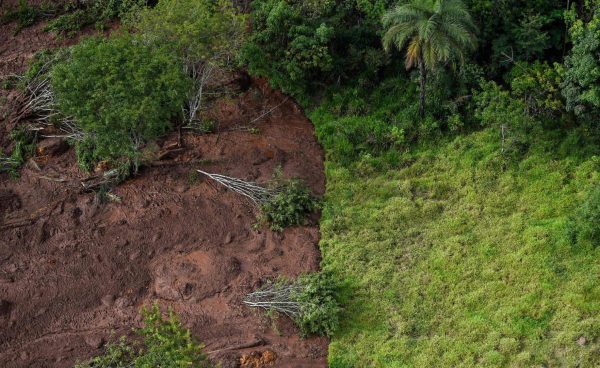 Vista aérea da região de Brumadinho, onde se rompeu a barragem Mina do Feijão. à direita, pedaços de vegetação e, à esquerda, lama e árvores tombadas.