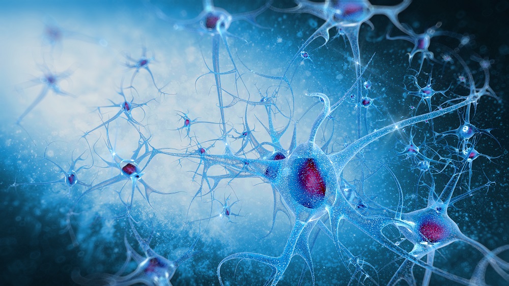 Ilustração de um neurônio, simbolizando a clonagem reprodutiva.