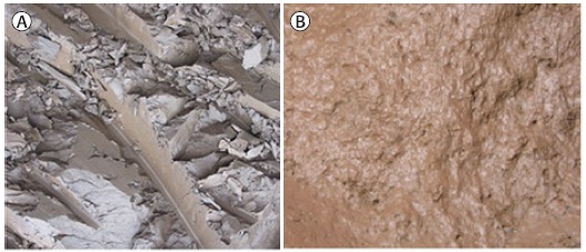 Duas imagens mostrando solos coesivos.