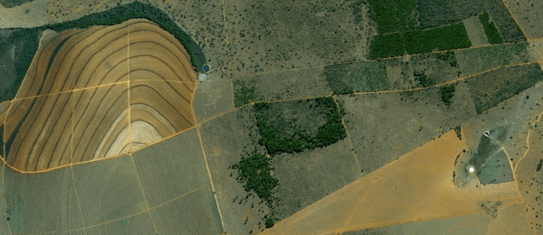 Imagem aérea em área de vegetação tirada por um sensor