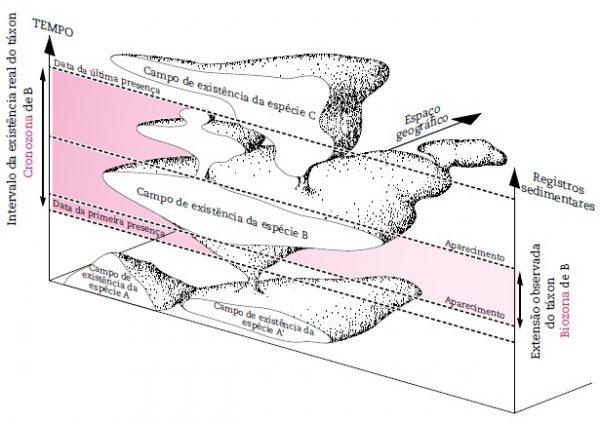Ilustração da relação entre táxon, tempo e espaço: noção de biozona e cronozona.