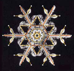 Imagem microscópica de cristais com seis pontas, de cor amarelo, laranja e branco.