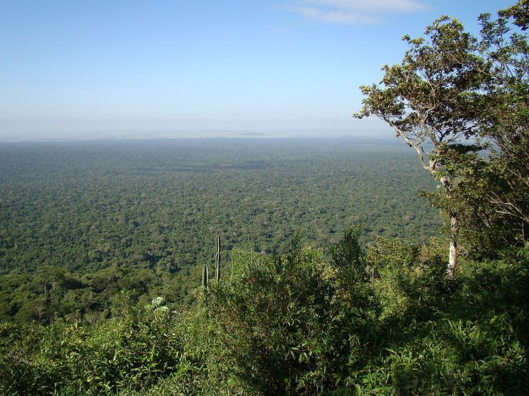 Foto de vista aérea da Floresta Estacional semidecidual do Parque Estadual Morro do Diabo em São Paulo.