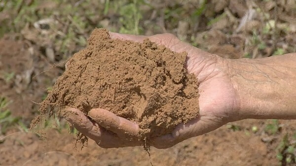 Foto de uma mão segurando um punhado de solo.
