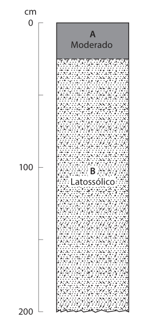 Esquema dos horizontes diagnósticos de um perfil representativo da classe dos Latossolos.