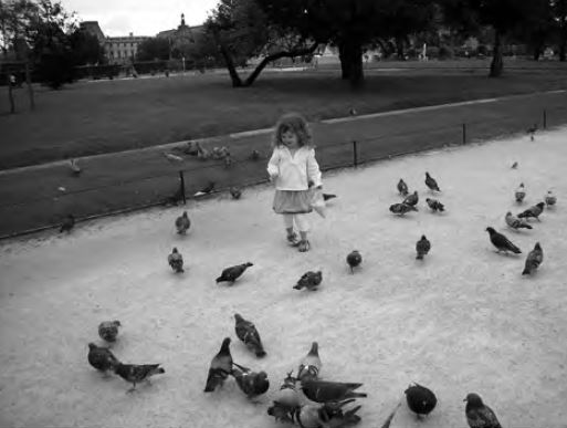 Foto preta e branca de uma criança alimentando pombos em uma praça.