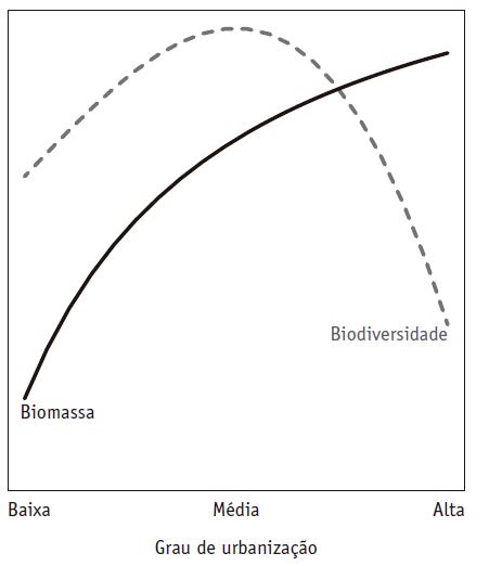 Gráfico de padrões de biodiversidade e biomassa típicos.