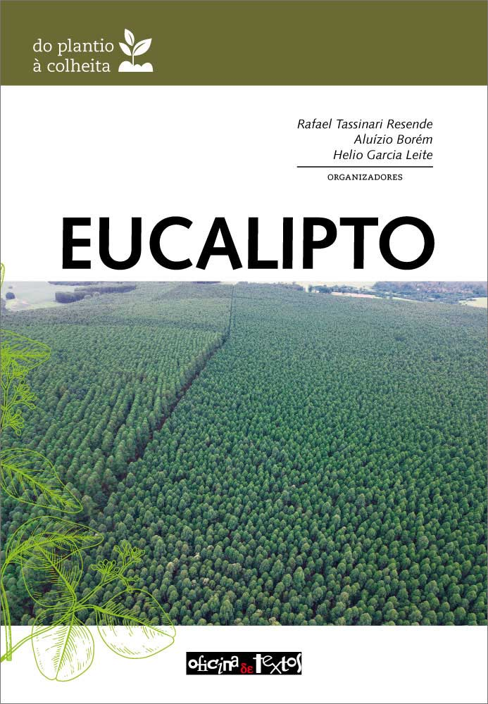Capa de Eucalipto: do plantio à colheita.
