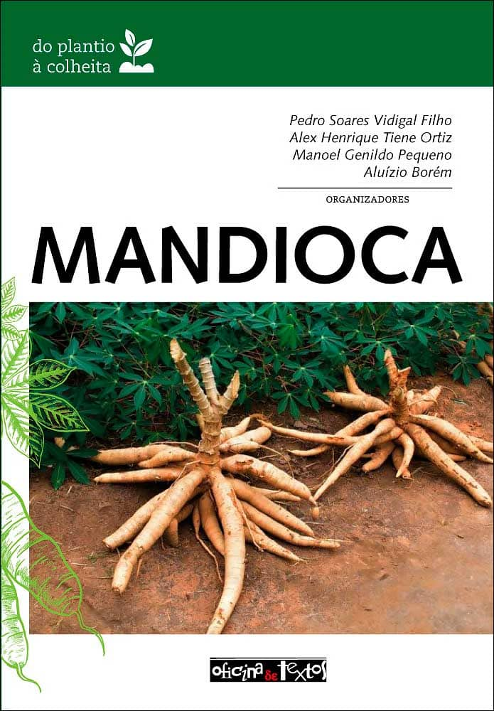 Capa de Mandioca: do plantio à colheita.