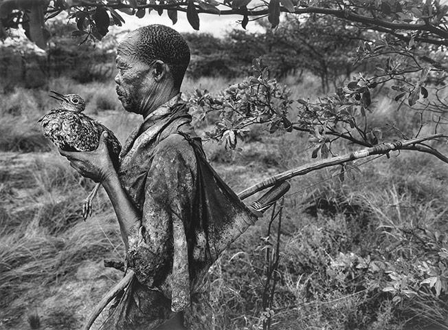 Fotografia preta e branca de um homem negro de perfil segurando uma ave nas mãos.