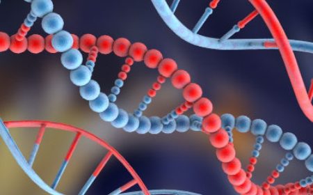 Ilustração de uma dupla hélice de DNA, com um filamento vermelho e um azul se entrelaçando.