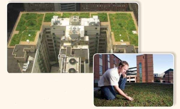 Montagem de duas imagens: uma foto aérea de um prédio com cobertura verde, e um homem agachando na grama de uma cobertura verde.