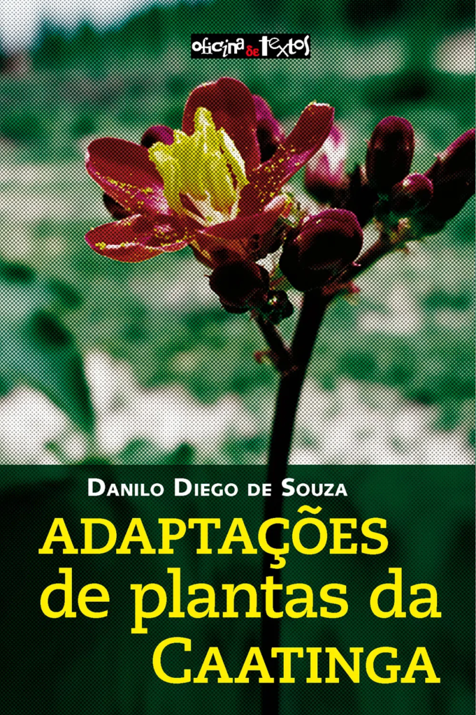 Capa de Adaptações de plantas da Caatinga.