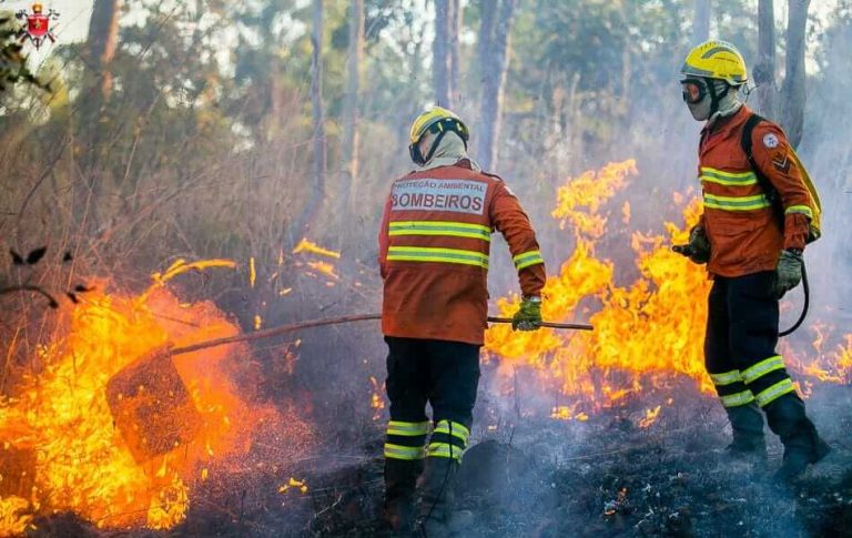 Dois bombeiros tentando apagar incêndios florestais.