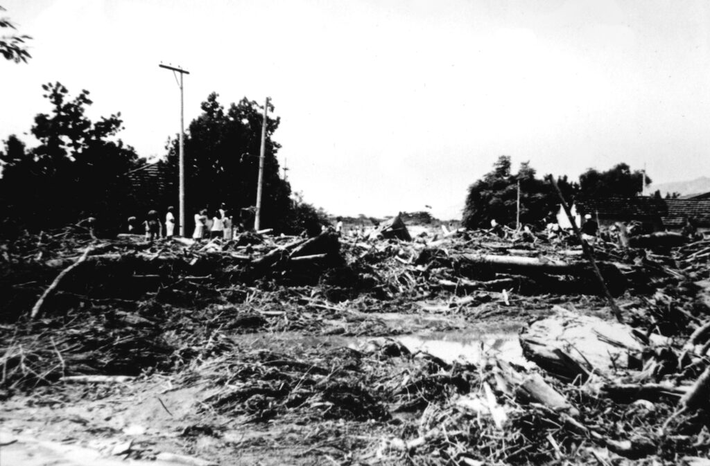 Foto de inúmeras árvores derrubadas e outros resíduos que foram levados pelo escorregamento de massa.