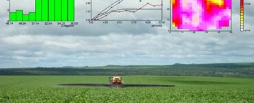 Geoestatística na agricultura