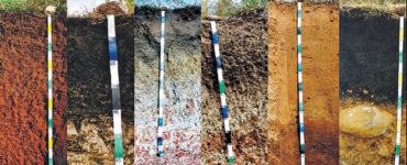 Perfis de solo como fonte de informação sobre o solo e o ambiente de formação