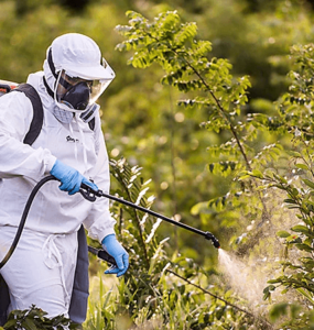 Manejo de plantas daninhas
