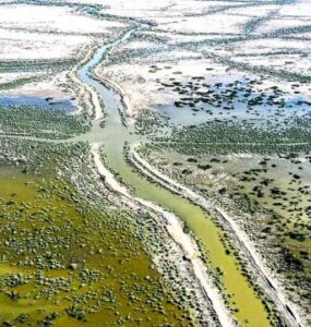 Gestão de riscos banalização de decretos revela falhas políticas