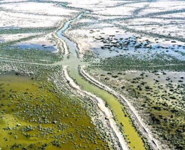 Gestão de riscos banalização de decretos revela falhas políticas