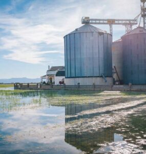 (Foto: Reprodução/Freepik/@mrblmoreno)