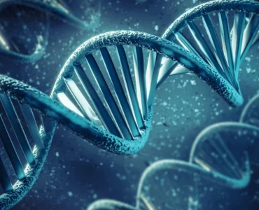 Representação 3D da estrutura em dupla hélice do DNA com detalhes moleculares