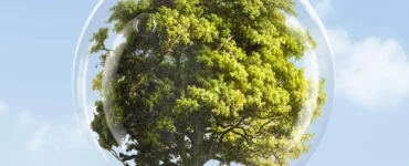 Árvore verde dentro de uma bolha transparente representando proteção ambiental e preservação da natureza.