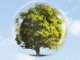 Árvore verde dentro de uma bolha transparente representando proteção ambiental e preservação da natureza.